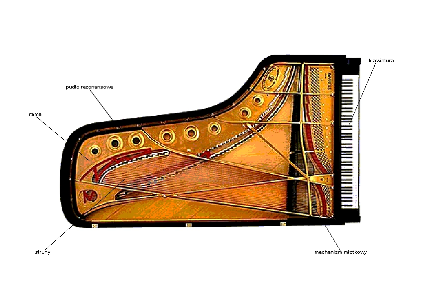 Budowa fortepianu